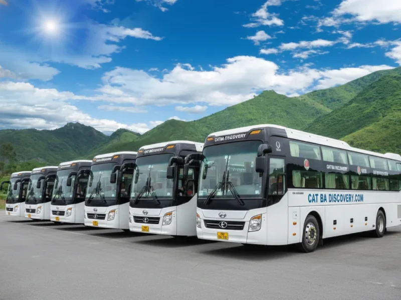 Bus transit from cat ba to ninh binh by cat ba discovery