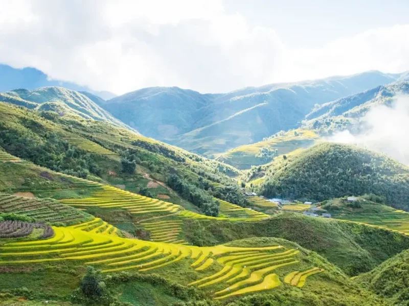 Misty rice terraces in Sapa - The destination of the overnight bus