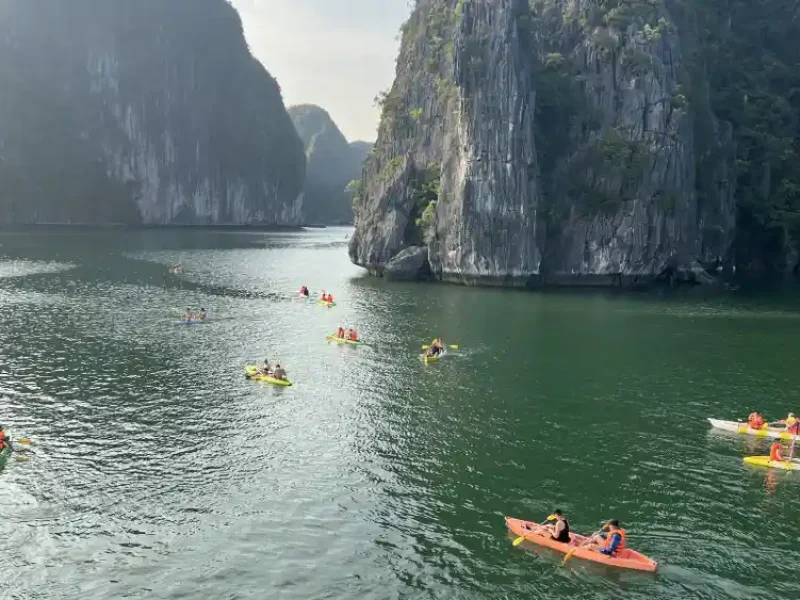 Sunset Kayaking Adventure on D'Charme Luxury Cruise