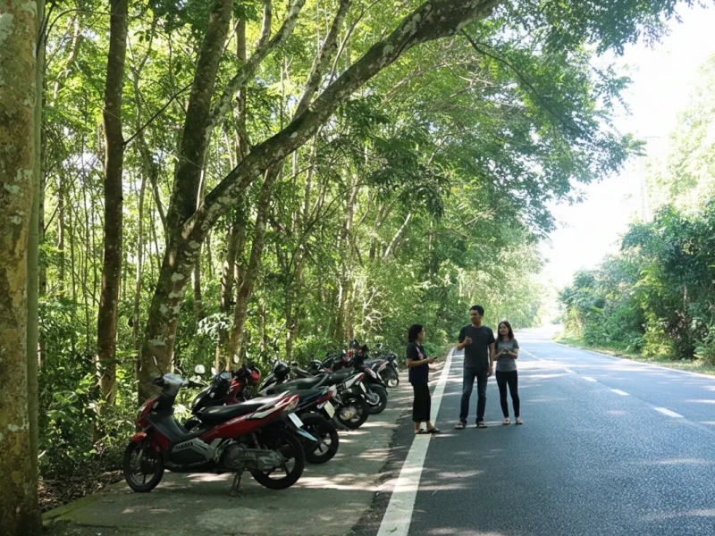 trung trang cave motobike for rent by cat ba discovery